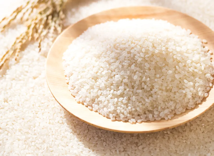  入船のこだわり